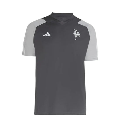 Atlético Mineiro Training Committee 2024