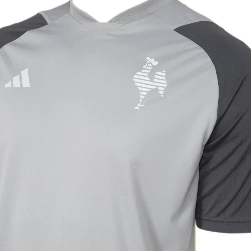 Athletico Mineiro Training